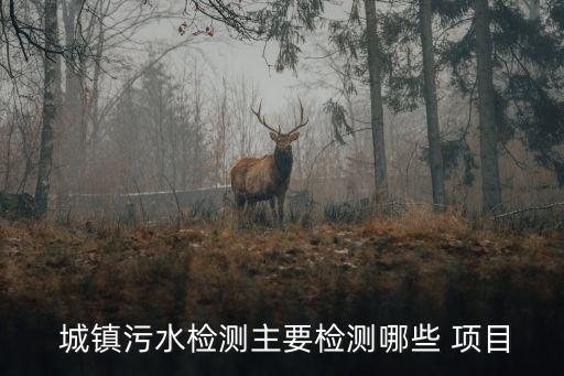  城鎮(zhèn)污水檢測(cè)主要檢測(cè)哪些 項(xiàng)目