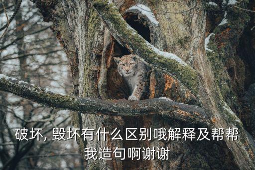 破壞, 毀壞有什么區(qū)別哦解釋及幫幫我造句啊謝謝