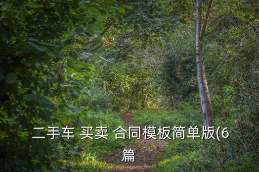  二手車 買賣 合同模板簡單版(6篇