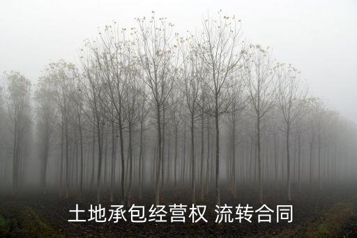  土地承包經(jīng)營權(quán) 流轉(zhuǎn)合同