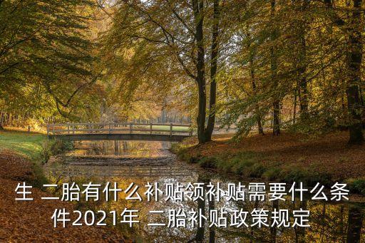 生 二胎有什么補貼領補貼需要什么條件2021年 二胎補貼政策規(guī)定