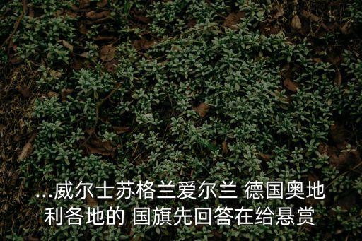 德國(guó)國(guó)旗標(biāo)志,世界各國(guó)的國(guó)旗標(biāo)志圖
