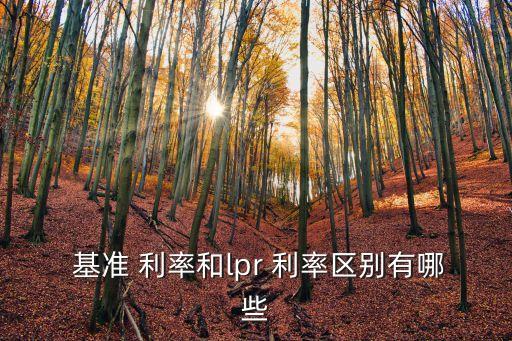 基準(zhǔn)利率是什么意思,執(zhí)行利率和基準(zhǔn)利率是什么意思