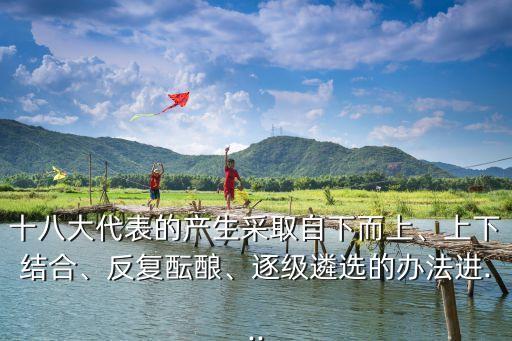十八大代表的產(chǎn)生采取自下而上、上下結(jié)合、反復(fù)醞釀、逐級(jí)遴選的辦法進(jìn)...