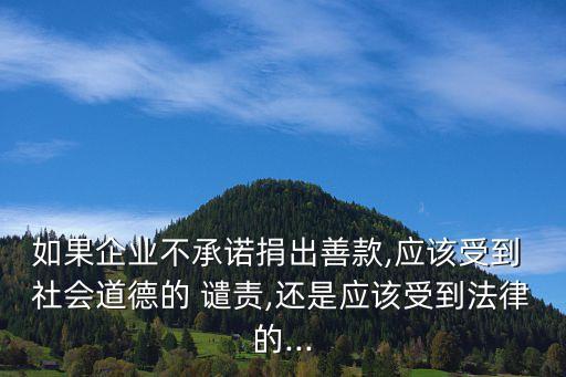 如果企業(yè)不承諾捐出善款,應該受到 社會道德的 譴責,還是應該受到法律的...