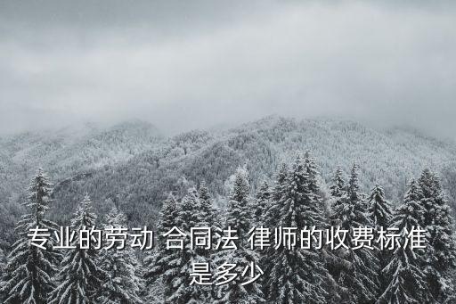 專業(yè)的勞動 合同法 律師的收費(fèi)標(biāo)準(zhǔn)是多少