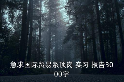 急求國際貿(mào)易系頂崗 實習(xí) 報告3000字
