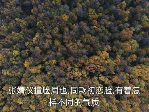 張婧儀撞臉周也,同款初戀臉,有著怎樣不同的氣質(zhì)
