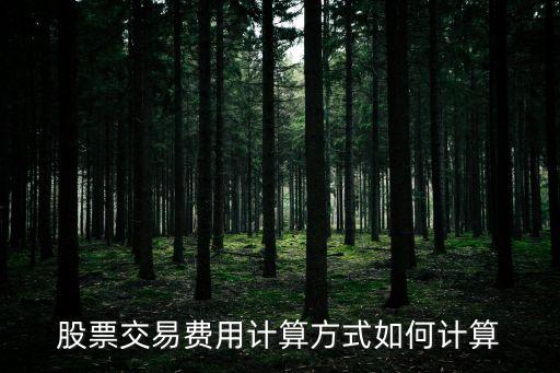 印花稅計(jì)算器,自動(dòng)算稅軟件