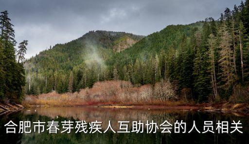 安徽省殘聯(lián),高青琳 安徽省殘聯(lián)