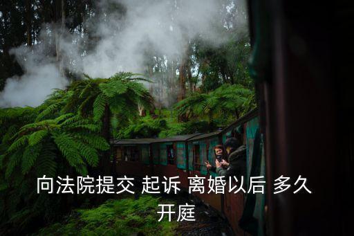 向法院提交 起訴 離婚以后 多久 開庭