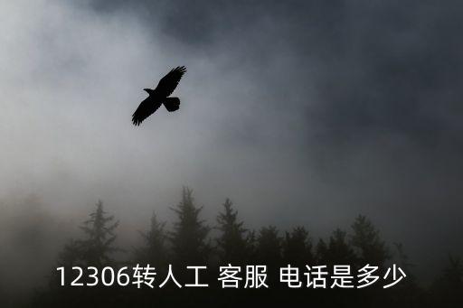 12306轉(zhuǎn)人工 客服 電話是多少