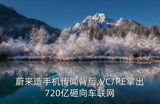新鼎資本,啃哥 新鼎資本
