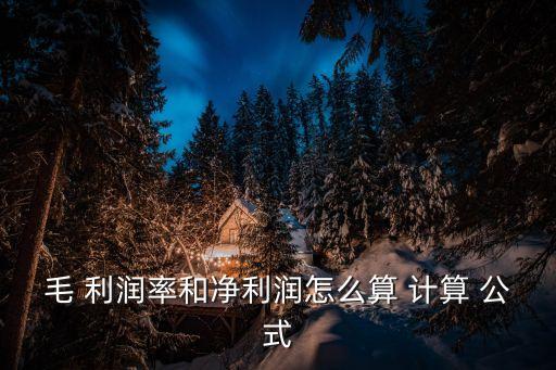 毛 利潤(rùn)率和凈利潤(rùn)怎么算 計(jì)算 公式