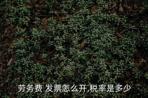 勞務(wù)發(fā)票怎么開