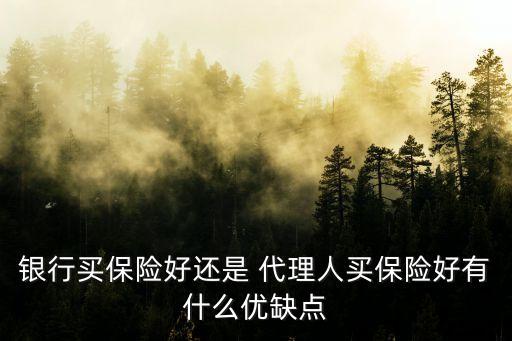 保險(xiǎn)代理人