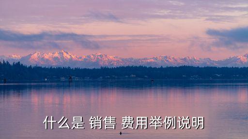 銷售費(fèi)用