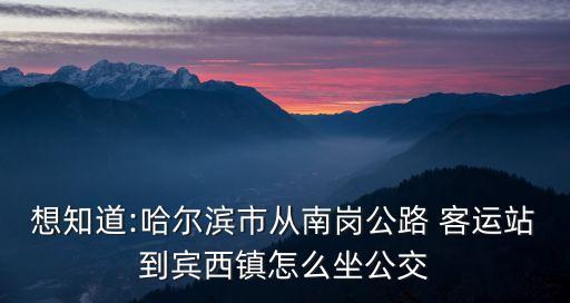 想知道:哈爾濱市從南崗公路 客運(yùn)站到賓西鎮(zhèn)怎么坐公交