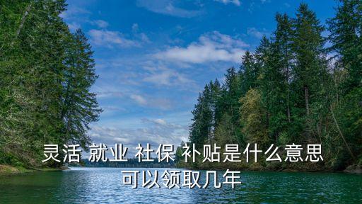 靈活就業(yè)社保補貼