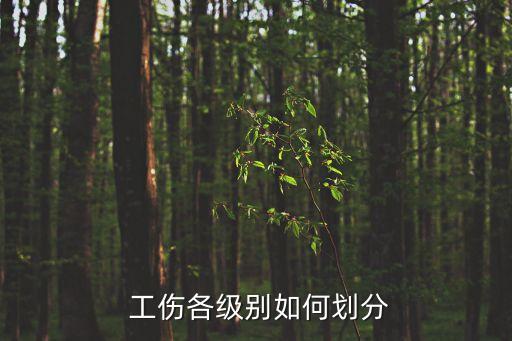工傷等級