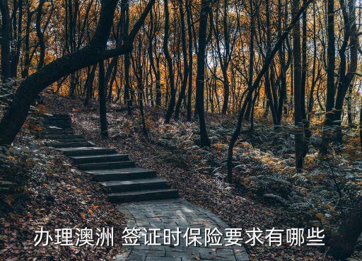 辦理澳洲 簽證時(shí)保險(xiǎn)要求有哪些