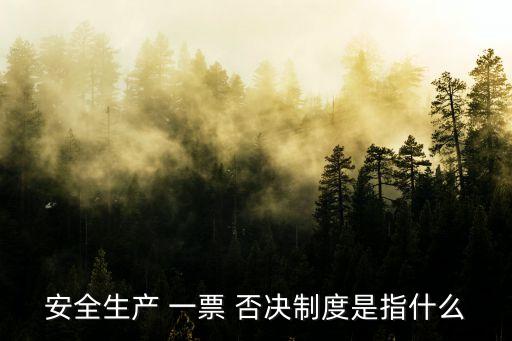 安全生產(chǎn) 一票 否決制度是指什么