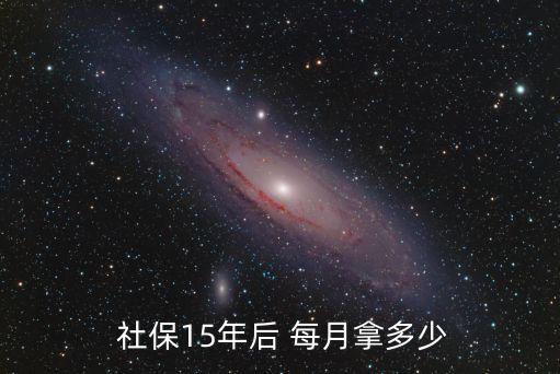  社保15年后 每月拿多少