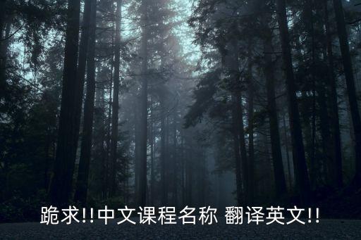 國際貿(mào)易實(shí)務(wù)英文版翻譯