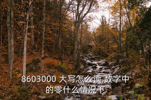 八千大寫怎么寫,三十二萬八千大寫怎么寫