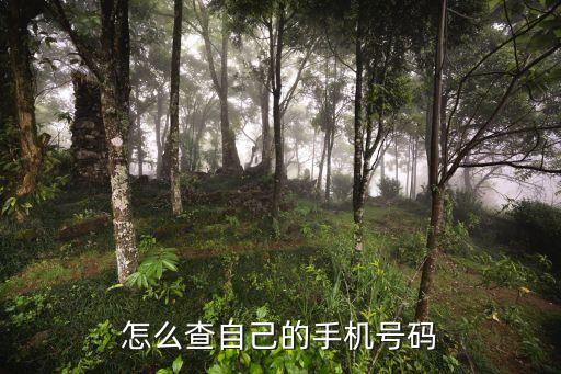 如何查電話號碼