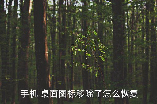  手機(jī) 桌面圖標(biāo)移除了怎么恢復(fù)