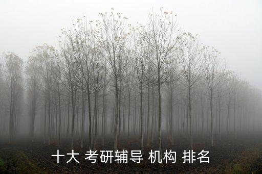 十大 考研輔導(dǎo) 機(jī)構(gòu) 排名