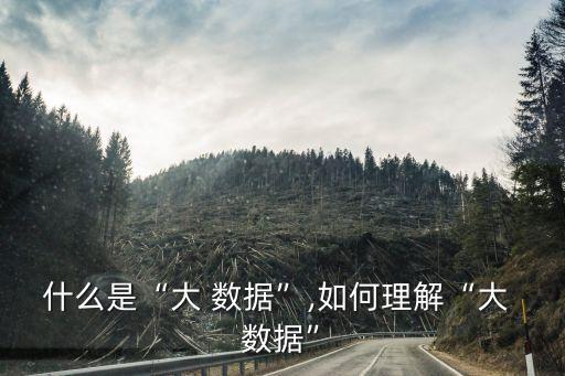 大數(shù)據(jù)