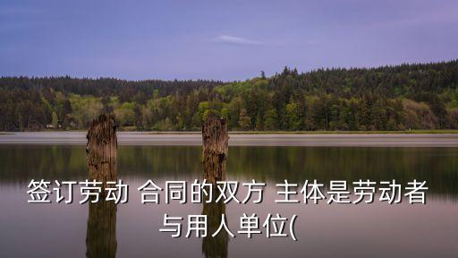 法律合同的主體是什么人