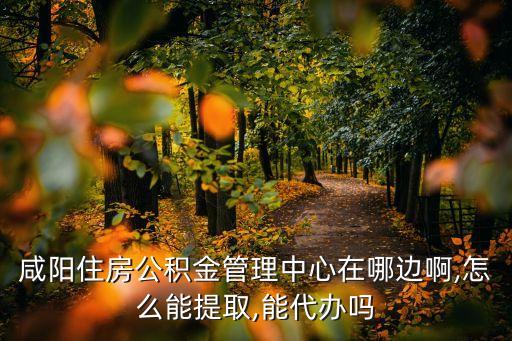 咸陽(yáng)住房公積金管理中心在哪邊啊,怎么能提取,能代辦嗎