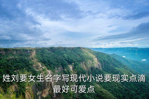 劉夢媛