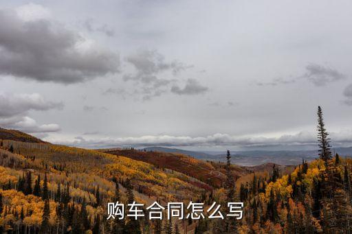 買(mǎi)車(chē)協(xié)議怎么寫(xiě),賣(mài)車(chē)協(xié)議怎么寫(xiě)才有法律效力