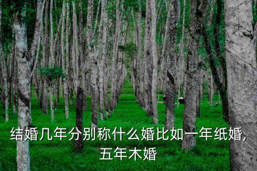 什么婚