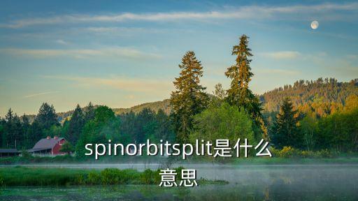 dyz什么意思,貼吧dyz什么意思