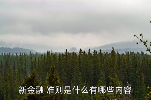 新金融 準(zhǔn)則是什么有哪些內(nèi)容
