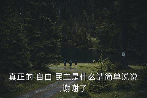 真正的 自由 民主是什么請簡單說說,謝謝了