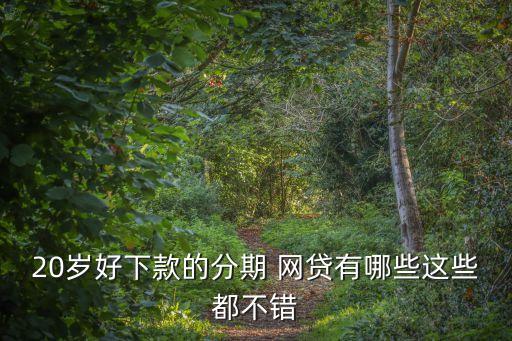 20歲好下款的分期 網(wǎng)貸有哪些這些都不錯
