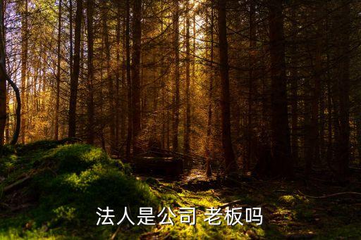 法定代表人是老板嗎,注冊(cè)公司為什么需要三個(gè)人