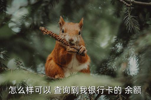 怎么樣可以 查詢到我銀行卡的 余額