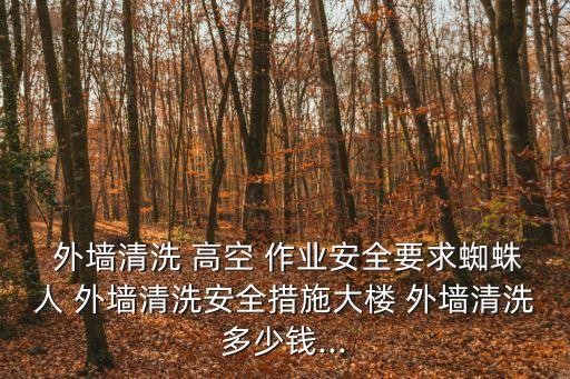外墻高空作業(yè)