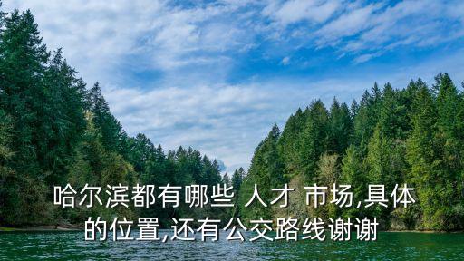  哈爾濱都有哪些 人才 市場(chǎng),具體的位置,還有公交路線謝謝