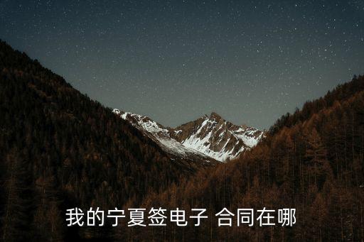 我的寧夏簽電子 合同在哪