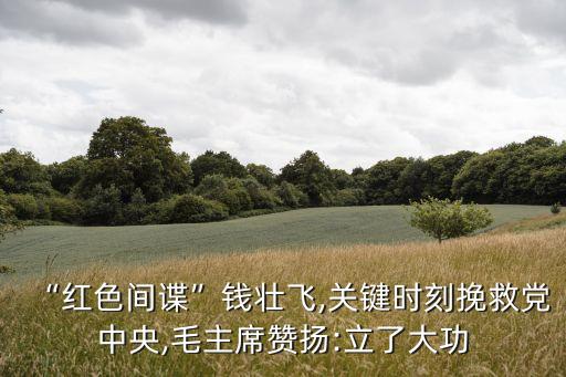 張振華