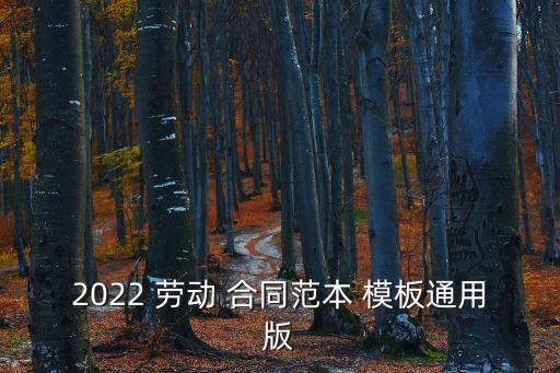 2022 勞動(dòng) 合同范本 模板通用版