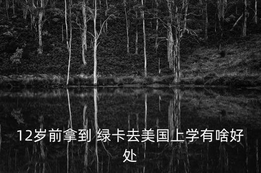 12歲前拿到 綠卡去美國上學(xué)有啥好處
